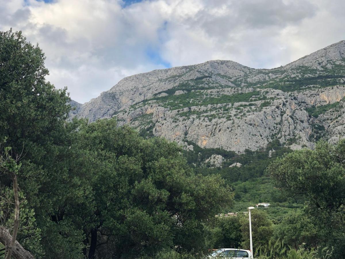 Apartment Flora Makarska Exterior foto